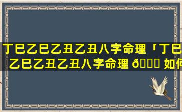 丁巳乙巳乙丑乙丑八字命理「丁巳乙巳乙丑乙丑八字命理 🍁 如何」
